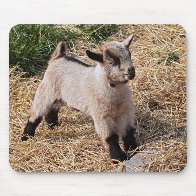 Mousepad Cute Kid Mousemat (Frente)