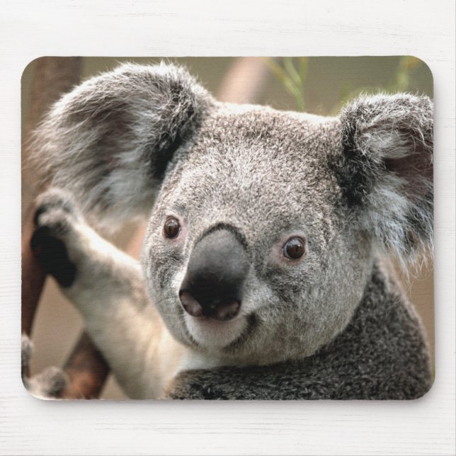 Mousepad Cute Koala Bear (Frente)