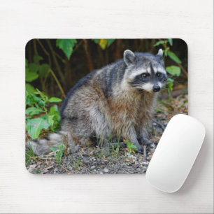 Mousepad Cute Posing North American Raccoon
