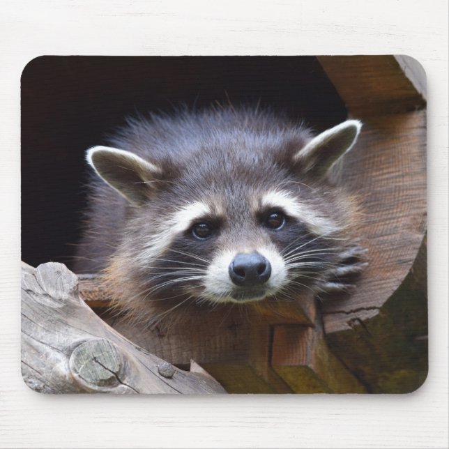 Mousepad Cute Raccoon (Frente)