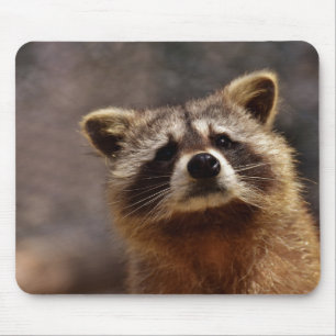 Mousepad Cute Racoon
