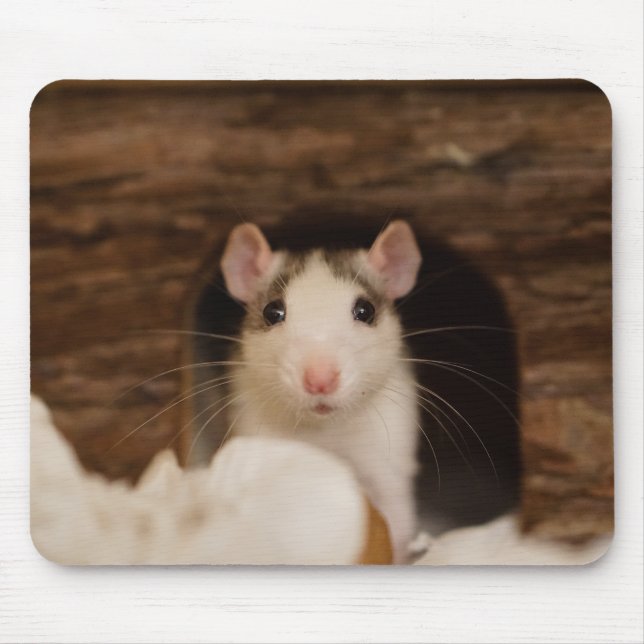 Mousepad Cute Rat (Frente)