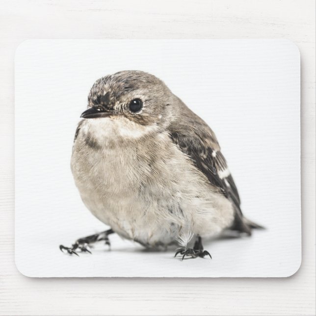 Mousepad Cute Small Garden Bird Photo (Frente)