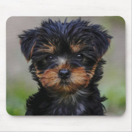 Mousepad Cute Yorkie Puppy