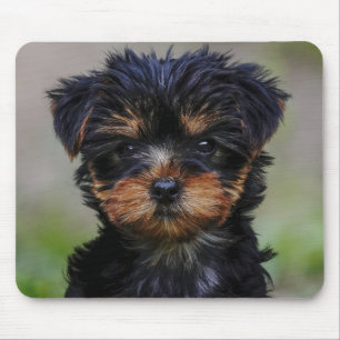 Mousepad Cute Yorkie Puppy
