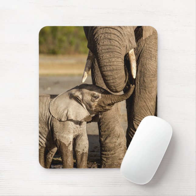 Mousepad Cutest Baby Animals | Baby Elephant & Mama (Com mouse)