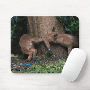 Mousepad Cutest Baby Animals Baby Foxes Playing
