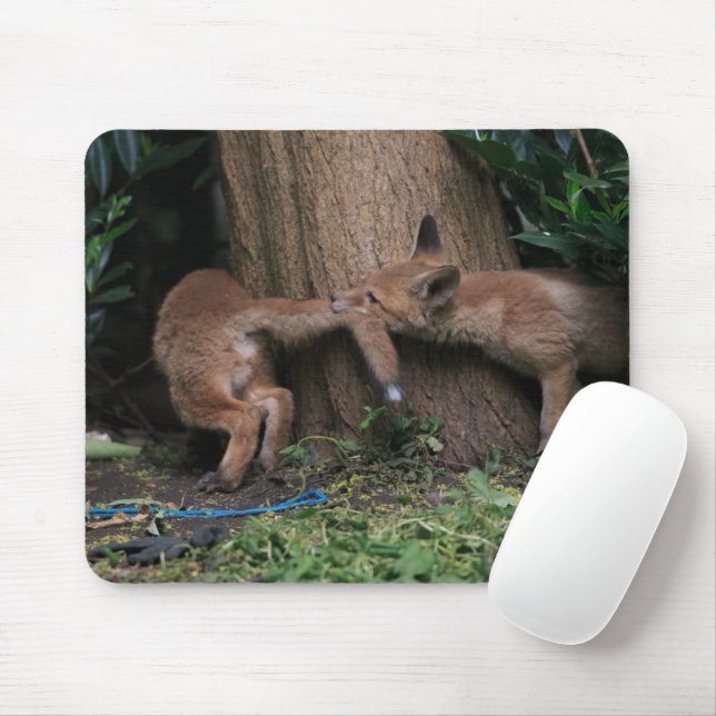 Mousepad Cutest Baby Animals | Baby Foxes Playing (Com mouse)