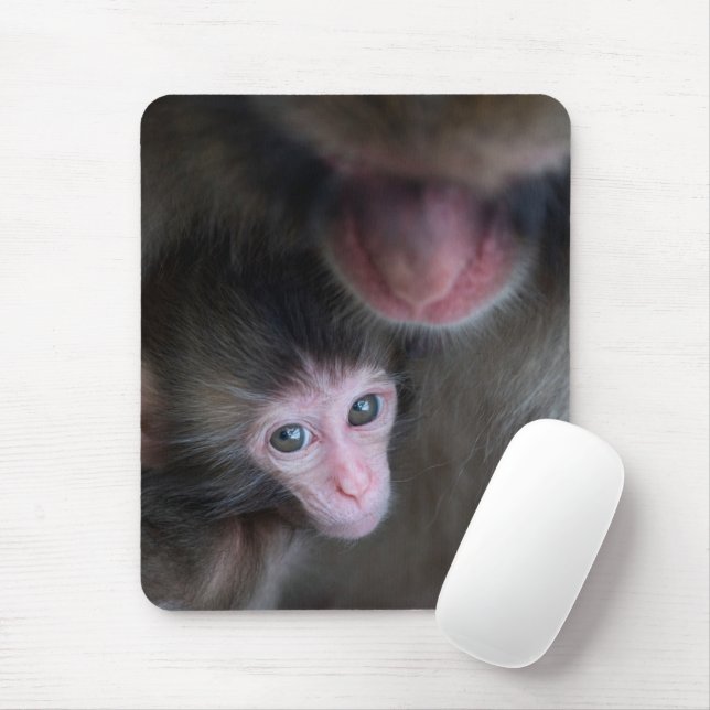 Mousepad Cutest Baby Animals | Baby Macaque Monkey & Mother (Com mouse)