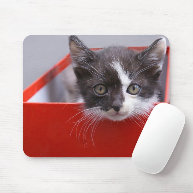 Mousepad Cutest Baby Animals | Black & White Kitten (Com mouse)