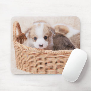 Mousepad Cutest Baby Animals   Corgi Tiny Puppy