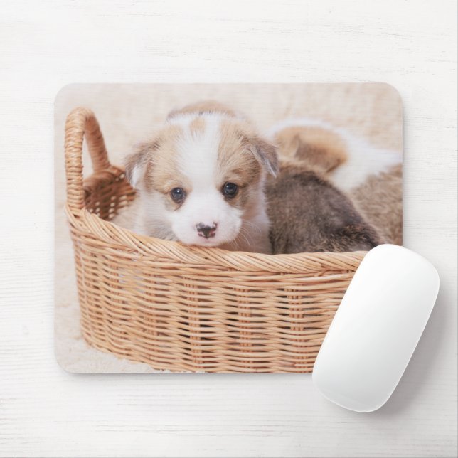 Mousepad Cutest Baby Animals | Corgi Tiny Puppy (Com mouse)