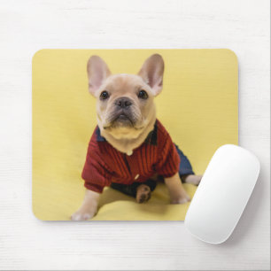Mousepad Cutest Baby Animals   French Bulldog Dressed