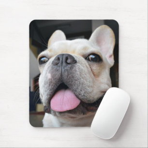 Mousepad Cutest Baby Animals French Bulldog Face