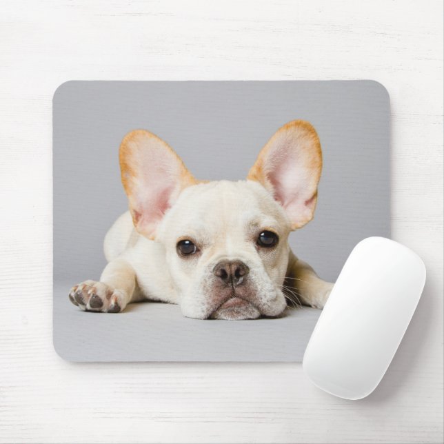 Mousepad Cutest Baby Animals | French Bulldog Lying Down (Com mouse)
