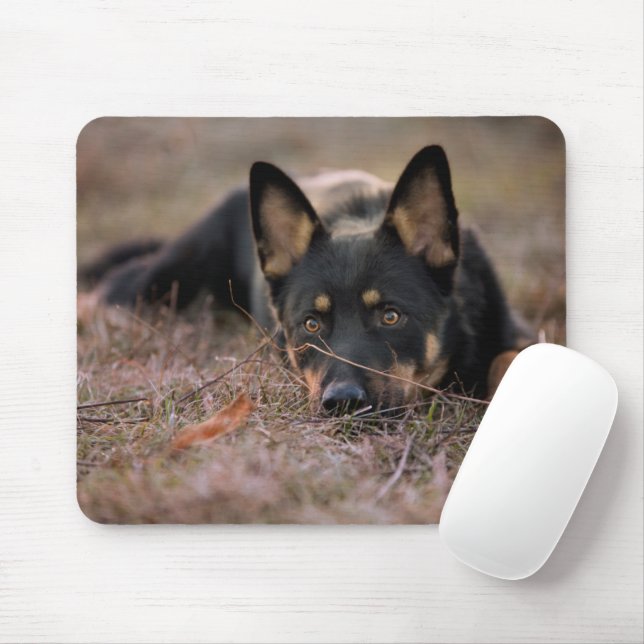 Mousepad Cutest Baby Animals | German Shepherd Puppy (Com mouse)