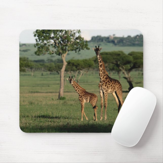 Mousepad Cutest Baby Animals | Giraffe Calf & Mama (Com mouse)