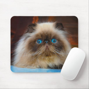 Mousepad Cutest Baby Animals Himalayan Cat