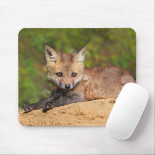 Mousepad Cutest Baby Animals Red Fox Pup