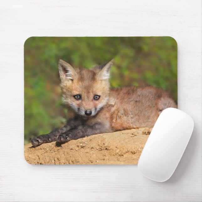 Mousepad Cutest Baby Animals | Red Fox Pup (Com mouse)