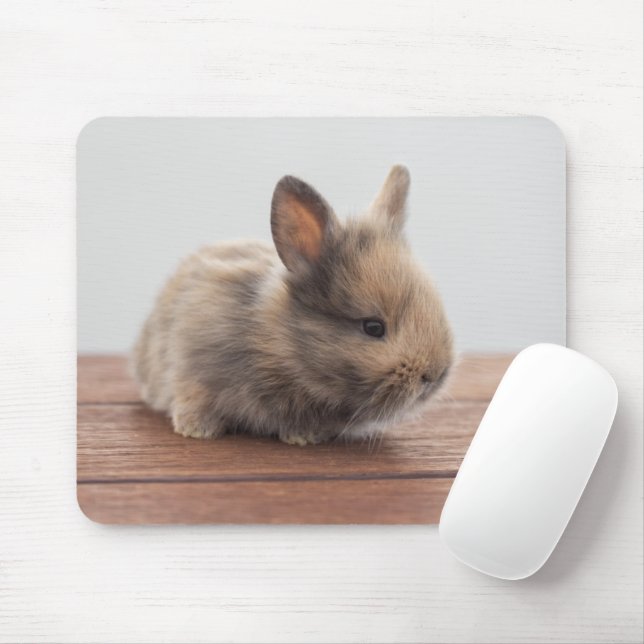 Mousepad Cutest Baby Animals | Tiny Baby Bunny (Com mouse)