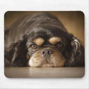 Mousepad Cutie Cav!