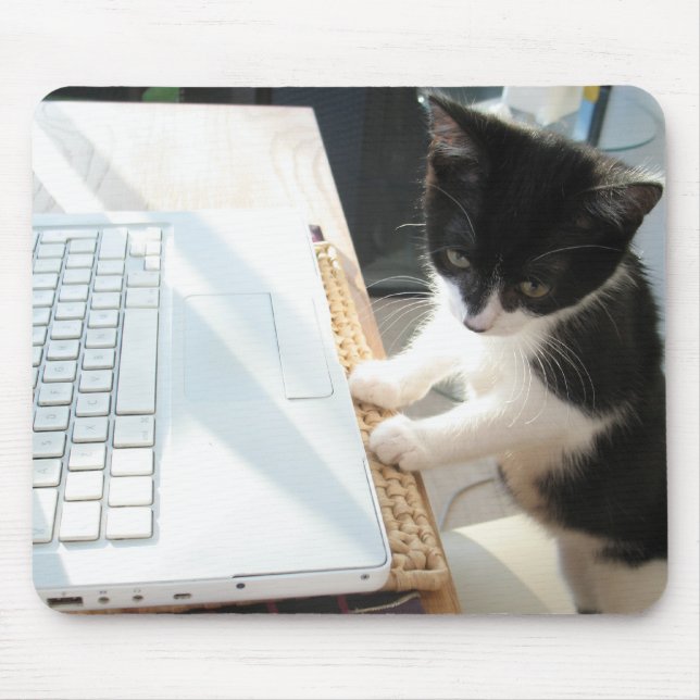 Mousepad Cyberkitten (Frente)