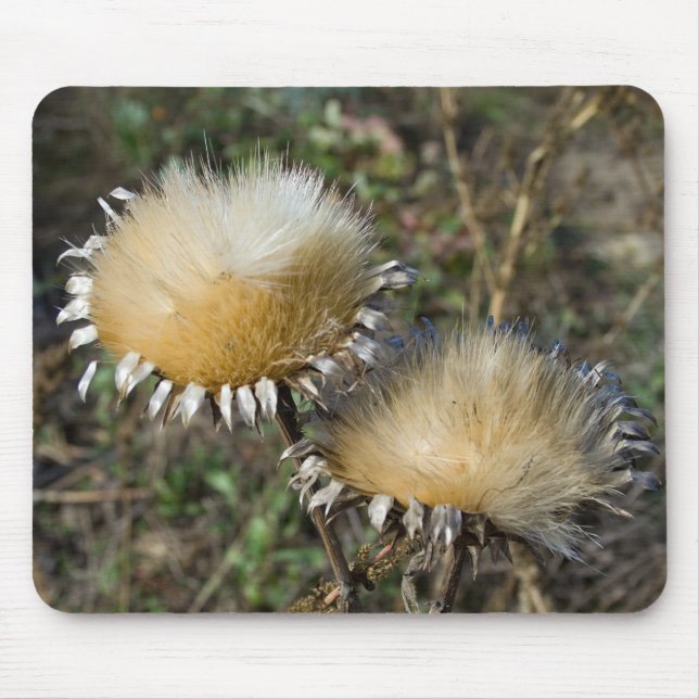 Mousepad Cynara cardunculus (Frente)