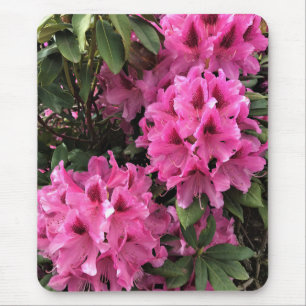 Mousepad Cynthia Rhododendrons, Oregon
