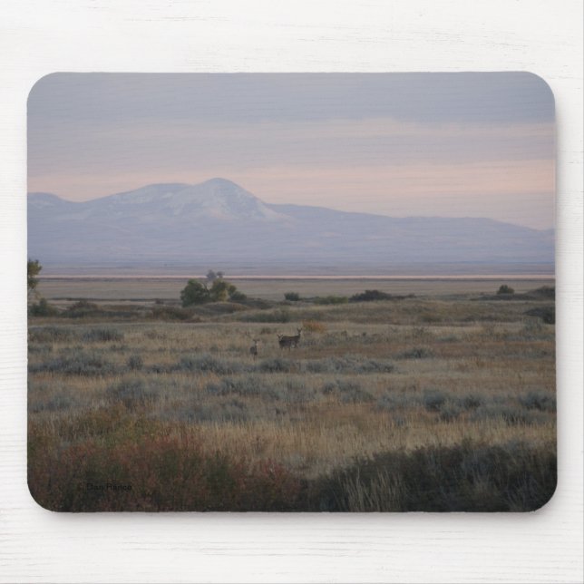 Mousepad D10 Colinas de cauda branca e de grama doce (Frente)