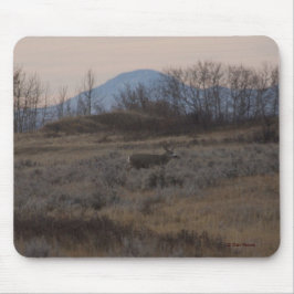 Mousepad D12 Mule Deer Buck e Colinas de grama doce