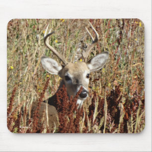 Mousepad D31 Veado-de-cauda-branca nos Ervais