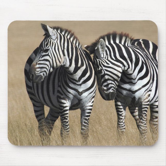 Mousepad Da "afeição zebra " (Frente)