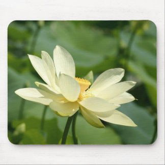 Mousepad Da água flor lilly