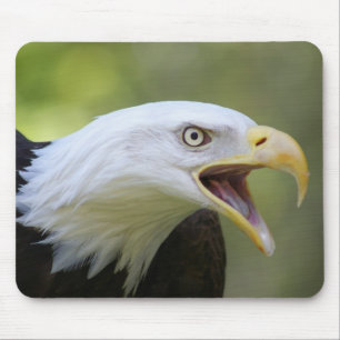 Mousepad da águia americana