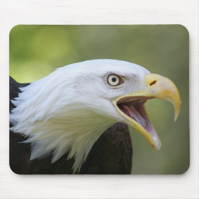 Mousepad da águia americana (Frente)