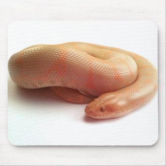 Mousepad da boa da areia do kenyan do albino