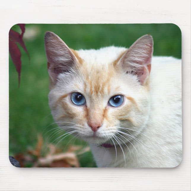 Mousepad da cara do gato Siamese (Frente)