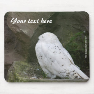 Mousepad da Coruja da Neve