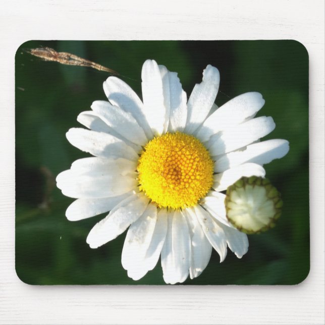 Mousepad da Flor Branca (Frente)