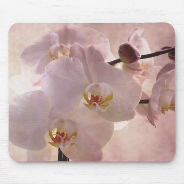 Mousepad da orquídea (Frente)