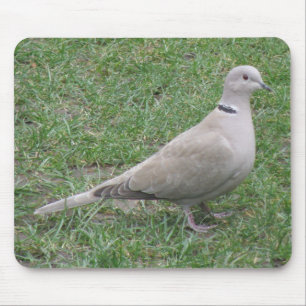 Mousepad da Porta Collared