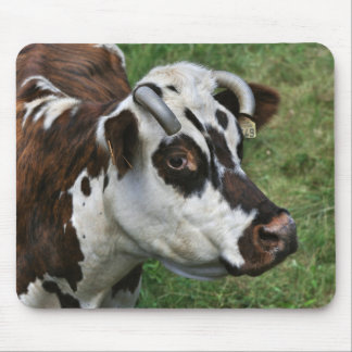 Mousepad da vaca de Normandy