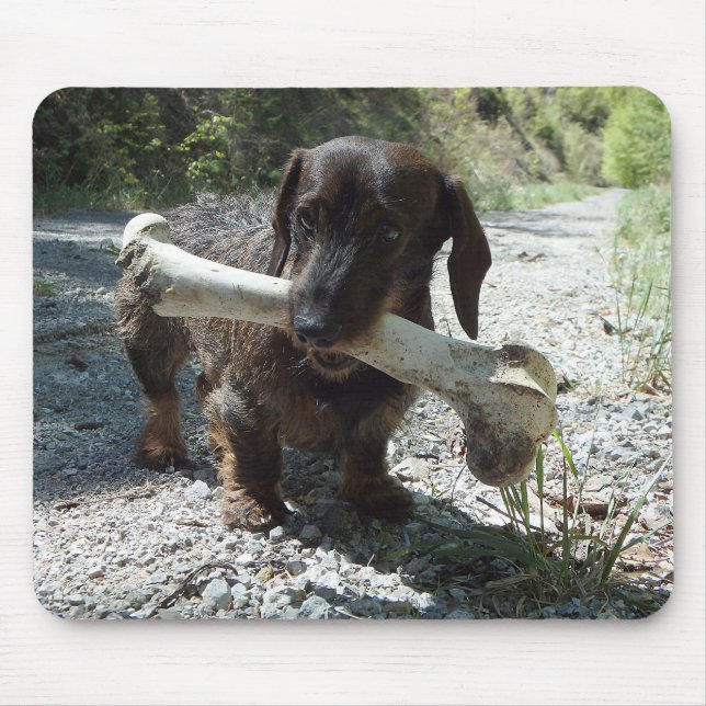 Mousepad Dachshund (Frente)