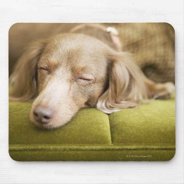 Mousepad Dachshund (Frente)