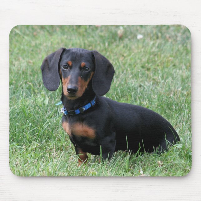 Mousepad Dachshund (Frente)