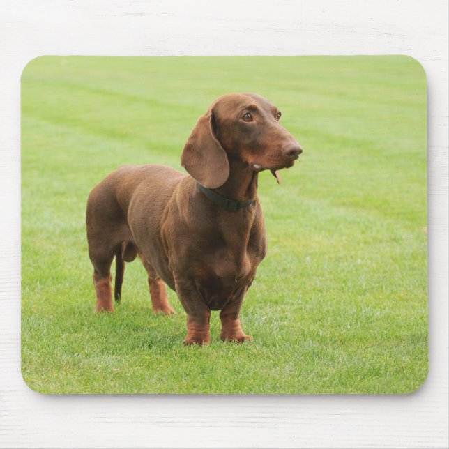 Mousepad Dachshund (Frente)