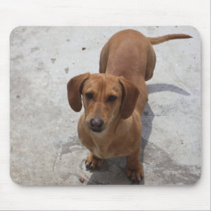 Mousepad Dachshund