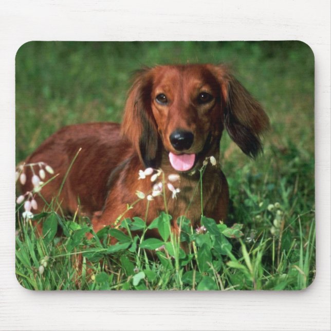 Mousepad Dachshund (Frente)