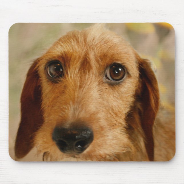Mousepad Dachshund bonito (fio de Brown de cabelo) nos (Frente)